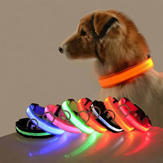 Nylon LED Night Safety Flashing Glow in the Dark Dog Leash Dogs Luminous Fluorescent Pet Dog Collar