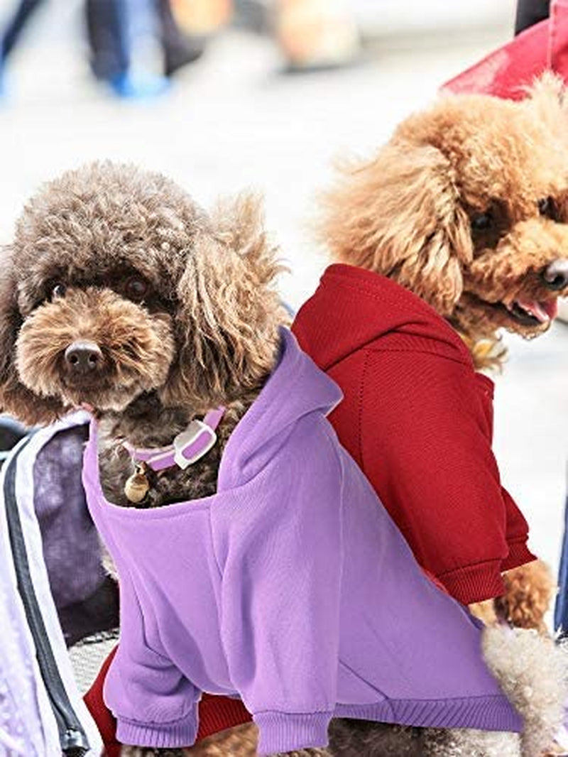 4 Pieces Small Dog Sweaters Dog Hoodie Clothes with Hat for Small Dogs Boy Chihuahua Clothes with Pocket Puppy Pet Winter Clothes Warm Hoodies Coat Sweater Shirt (XXS)